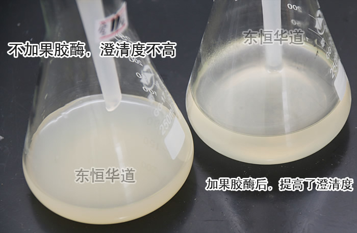 果胶酶（果胶甲脂酶复合酶Pectinase）(图5)