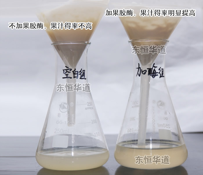 果胶酶（果胶甲脂酶复合酶Pectinase）(图4)