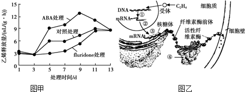纤维素酶的分类及作用机理docx