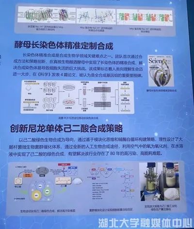 中国工业酶市场发展动态分析及前景趋势预测报告